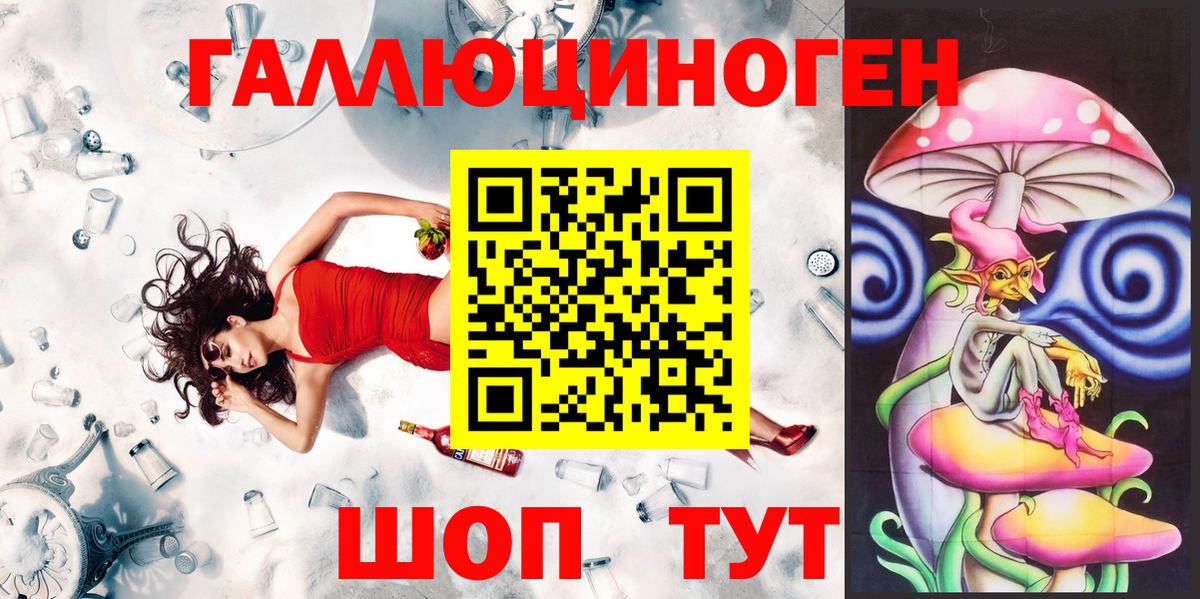 Вичуга  Галлюциногенные грибы Psilocybe  Вход с VPN 