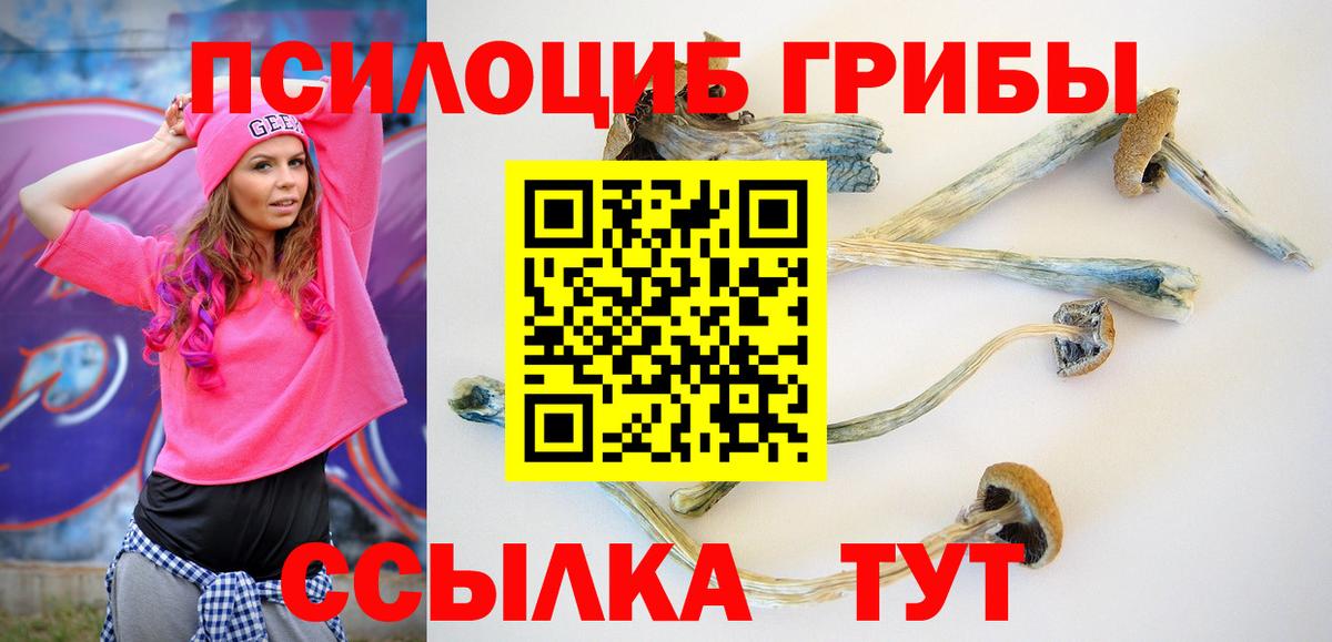 Галлюциногенные грибы MAGIC MUSHROOMS Вичуга